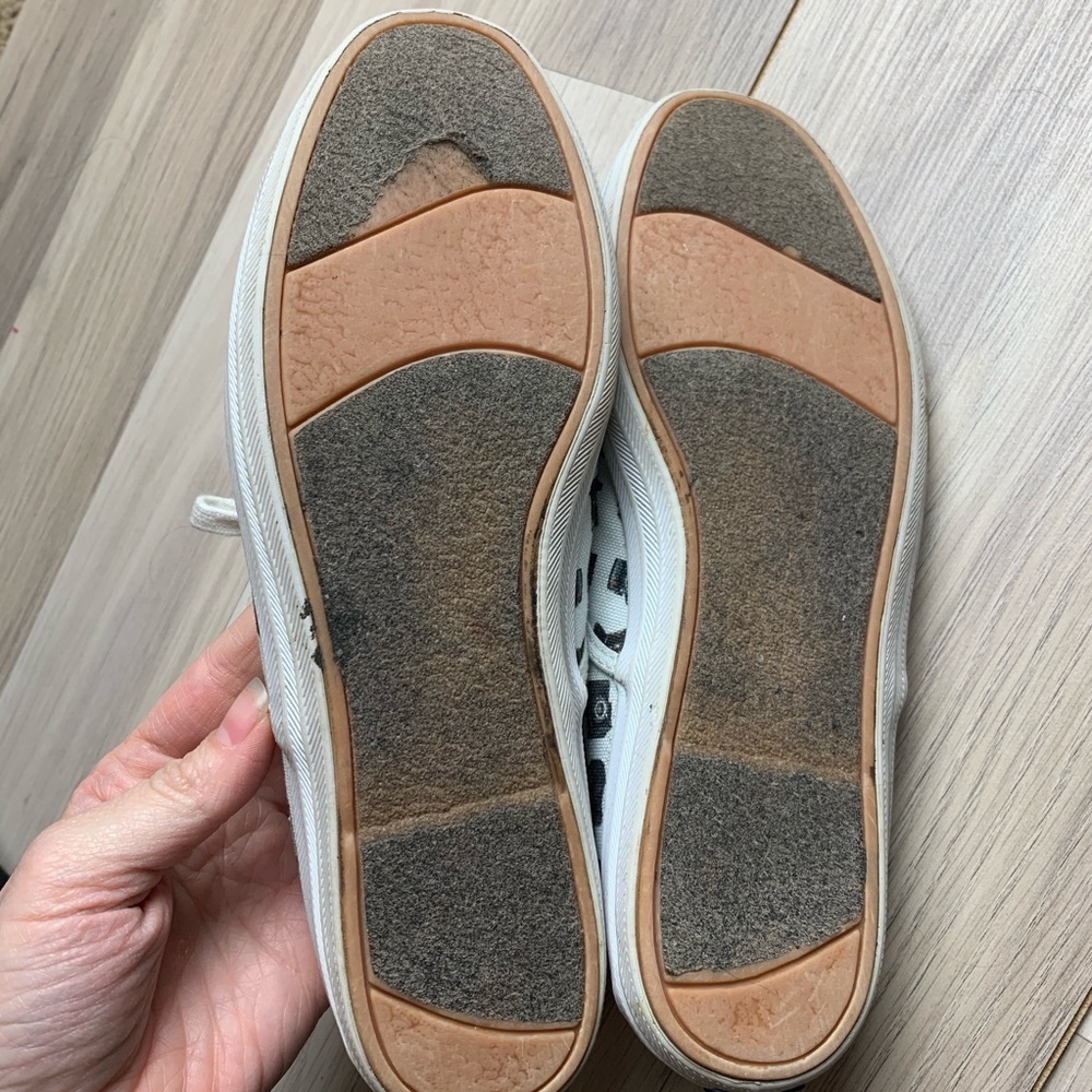 Keds Custom Camera Print Photographers Dream! - image 4